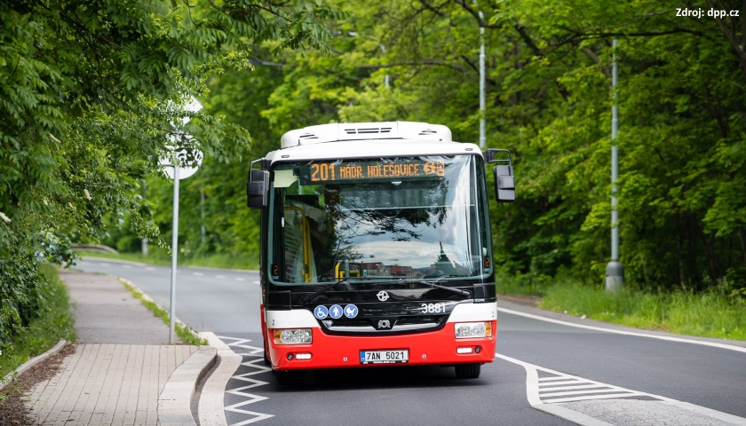 DPP autobus