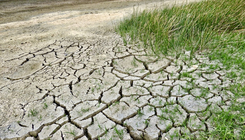 climate change