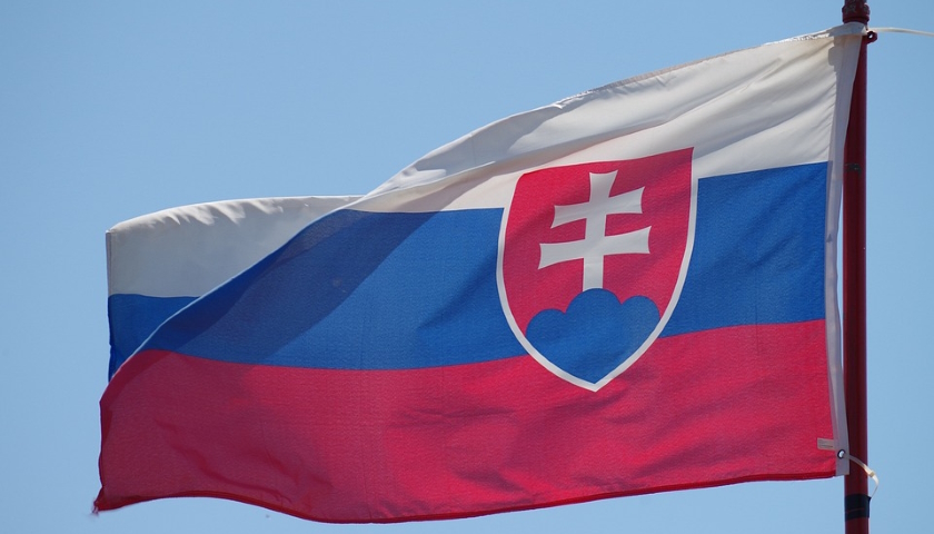 Slovensko referendum vlajka