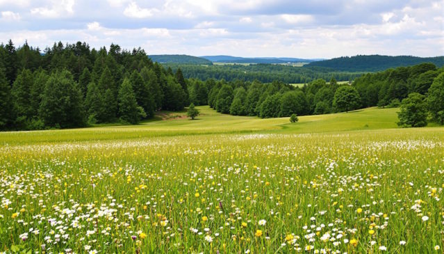 Zpráva o životním prostředí 2023